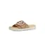 Walnut 11