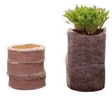 Coco Jiffy Plug pellets Seed Sowing Media For Germination 100% Biodegradable 42 mm (Pack of 20)-picture-21