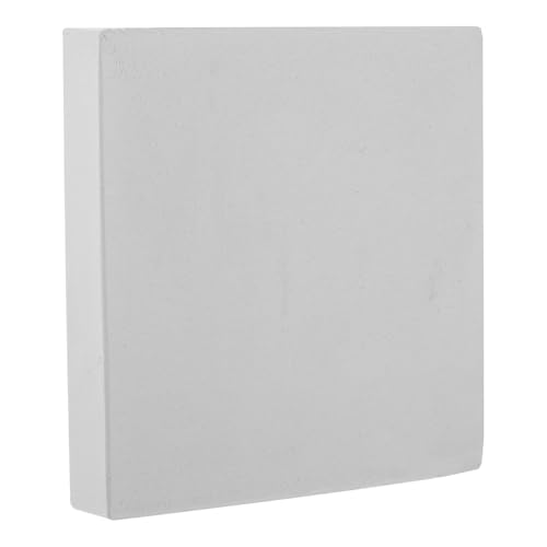 Gadpiparty Placa de Escayola de Yeso Superficie Lisa y Alta Densidad para Hacer Obras Cerámicas y Cuencos Redondeados de Arte Manual