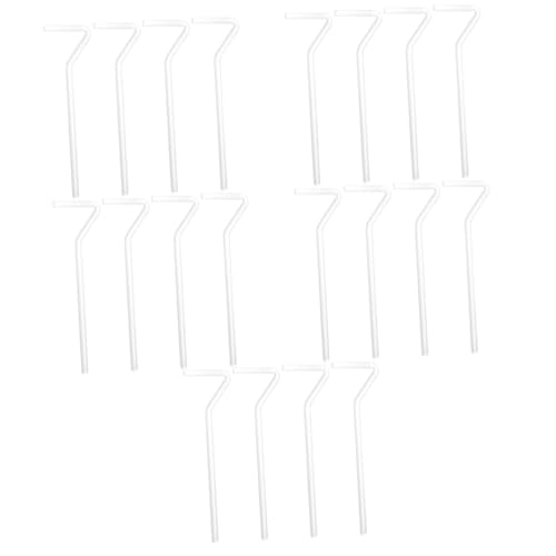 Bâtons de revêtement en verre premium Zerodeko pour une culture cellulaire sans contamination