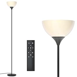 PESRAE Floor Lamp Torchiere...