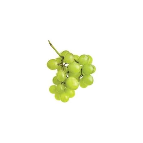 GREEN SEEDLESS GRAPES FRESH PRODUCE FRUIT