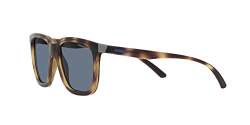 ARNETTE Sunglasses AN 4306 27702V Plaka Dark Havana Blue Po3