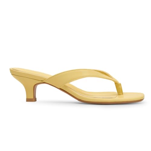 Image of Dsevht Kitten Heels for Women Jelly Square Open Toe Sandals Flip Flop Heel Summer Low Heeled Thong Sandals