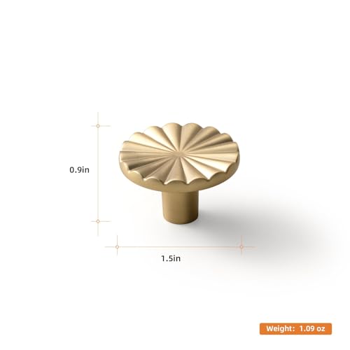 Goo-Ki Champagne Bronze Cabinet Knob, Modern Style 6 Pack