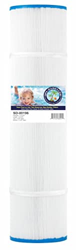 Pentair R172504B 2 Inch Slip 50 Square Foot Top Load Filter Cartridge