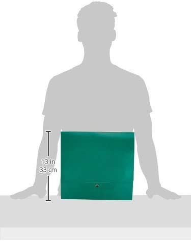 Scatole Progetti In Cartone - Confezione Da 5, Blu, 25x35 Cm, Dorso 15 Cm