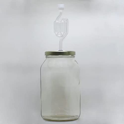 Kit de fermentação de vidro 3 litros com airlock