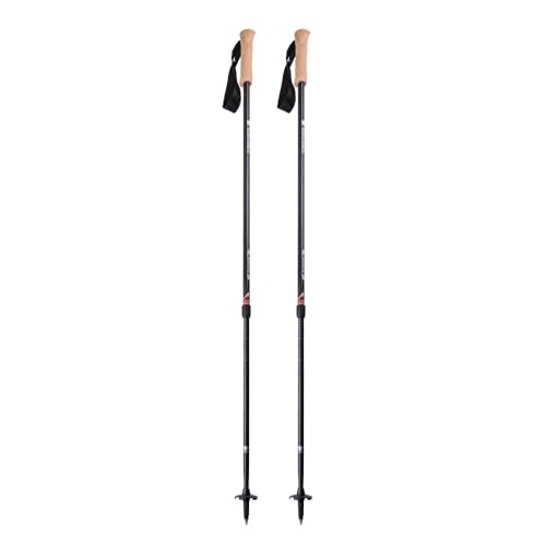Mountainsmith Andesite Trekking Pole Pair - Carbon