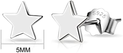Sterling Silver Friendship Quote Star Earrings