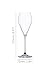 Spiegelau Champagner Gläser Sparkling Party 230ml, 6 Stück, Special Glasses, 4270329, Sektgläser aus Kristallglas, Champagnergläser spülmaschinenfest
