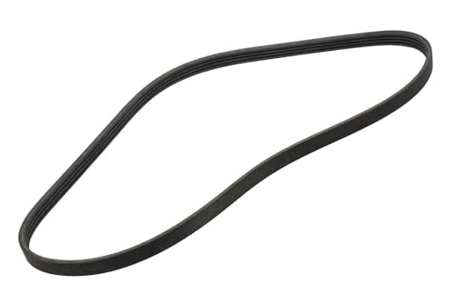 Correa de compresor ACDelco 12622244 con resistencia al desgaste para climatización GM