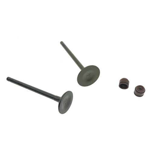 �I�[�g�o�C�z�r�C�o���u�ƃI�C���V�[���L�b�g HJ125T-9C 10A 11 16 125cc �d���R���|�[�l���g