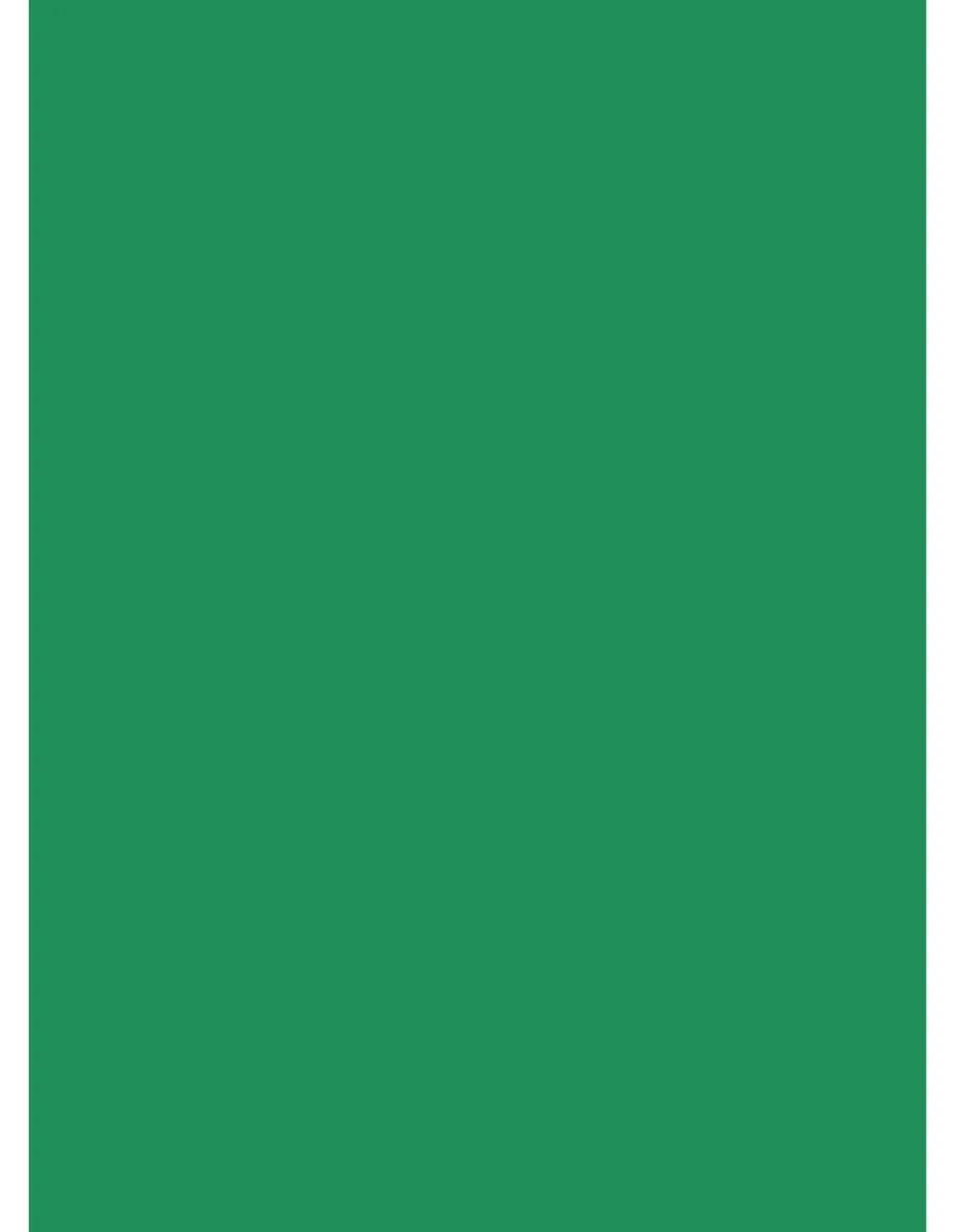 Netuno Green 25X Cardstock A4 210 X 297 Mm 8.3 X 11.7 In 160Gsm Aster Color Kelly Colourful Paper Eco-Friendly Paper Coloured Cardstock For Invitations Business Cards Wedding Flyers Scrapbooking