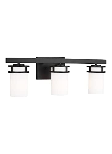 Image of SEA Gull 4421603-710 Three Light Wall /Bath