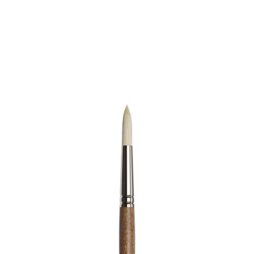 Winsor & Newton Oil Painting Brush, Synthetic, Brown, Nr. 8-Rundpinsel, Nr. 8 - Rundpinsel - Image 2