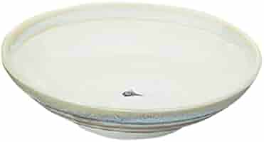 【DOL様】5点/トップ二重 Amazon.com: せともの本舗Set of 5, Noodle Plates, Jade Sink