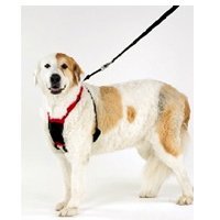 Anti tiro imbracatura cane (medio)