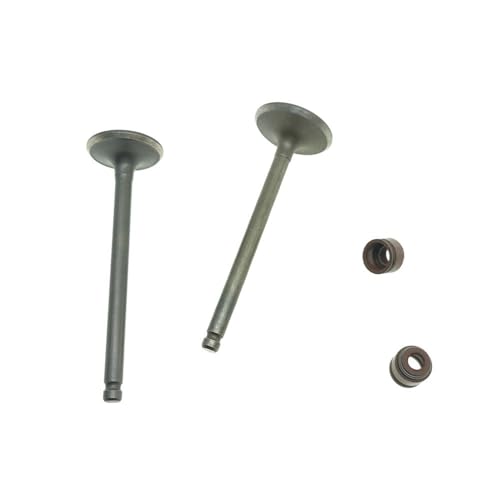 Joint d'huile de tige anti fuite pour moteur Lindy 125 et UM 125