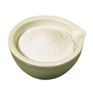 The First lab Plaster of Plaster of Paris Gypsum pop Powder for Arts Crafts Idol Making Moulding Fill Cracks Make Casts and Patterns for Moulds and Statue Multi Purposes (Plaster of Paris(POP), 3KG)