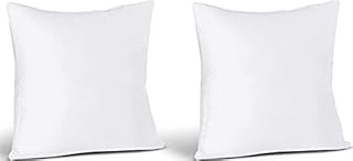 C Stores -19 x 19 Cushion Inner Pads Square Insert Fillers- Pack of 2 (48 x 48 cm) Anti-Allergy