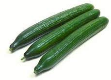 Golden Hills Farm (AVG 100-223) seeds Long Cucumber Seeds KHIRA SEED (B07ZJ35RPF) Amazon Price History, Amazon Price Tracker