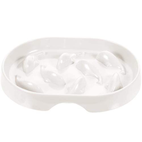 COMPUKAS HLq ~ߐ݌v xh~ ybgpHi Lpt[h{E H׉߂h~ Nێ KȐH 킢zCg