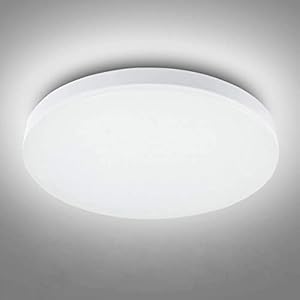 RAWNICE LED Bathroom Lights Ceiling,12W,22cm,6000K Cool White,Waterproof IP54,1050 Lumon,Fitting Indoor Lamp for…