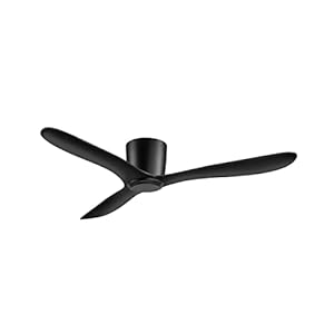 SWING FANS Titanium 42, Black Body – Black Blade