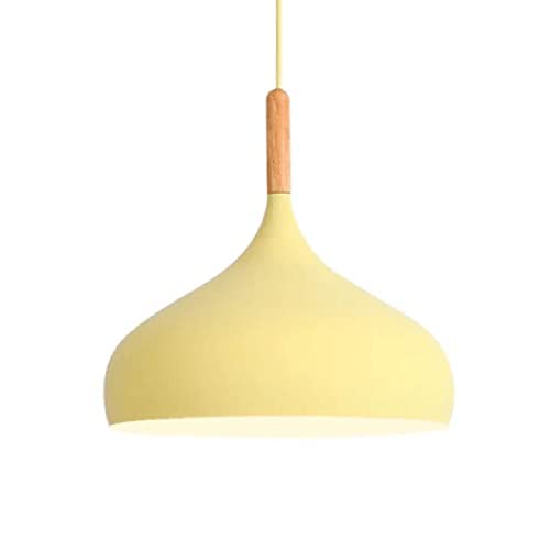 Pendant Light Elegant Personalized Personality Industrial Pendant Lamp Scandinavian Simplicity