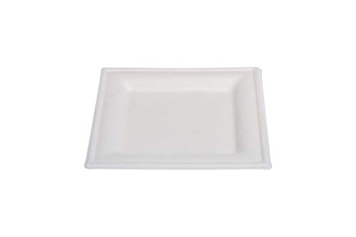 MAQA Crown – 50 platos llanos biodegradables compostables 20 x 20 cm | Bandejas ovaladas desechables de pulpa de celulosa | Resistentes, naturales, para alimentos fríos y calientes | Ideal para