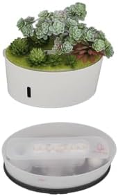 Miniatura 8 de Humidificador de plantas de simulación, 6.8 fl oz de aire silencioso humidificador de apagado automático, mini humidificador portátil para