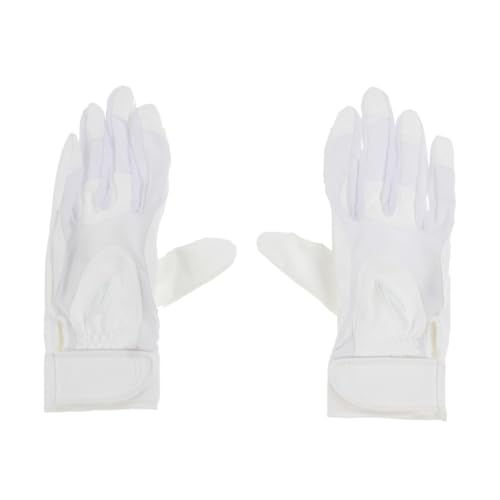 TIGORA(eBS) 싅 obeBOp  L zCg