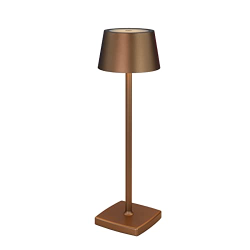 Amhshkou Rechargeable Led Cordless Table Lamps, Aluminum, Dimmable,Suitable For Indoor And Outdoor Lighting Brown #TOP21