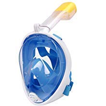 Shelzi Revolutionary Full Dry, Anti Fog, 180 Degree Vision Snorkeling Mask Snorkel Equipment Scuba Goggles (B07VYZ9R43) Amazon Price History, Amazon Price Tracker