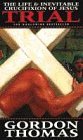 Paperback Trial : The Life and Inevitable Crucifixion of Jesus Book