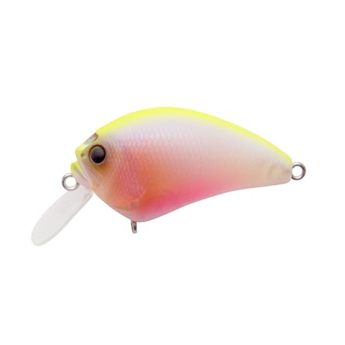 Amazon.co.jp: Megabass(メガバス): クランクベイト
