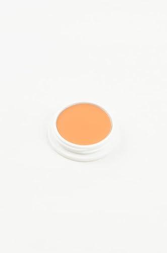 舞台屋 ペイントカラー No.5 コスプレ メイク 舞台 ミュージカル