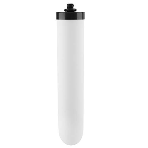 Top 10 Best Ceramic Water Filter Buying Guide Open Air Home. Com