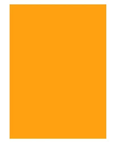 Amy & ELY Pack of 10 Big Chart Papers (70 x 56 cm) 200 GSM for Art & Craft (Orange)