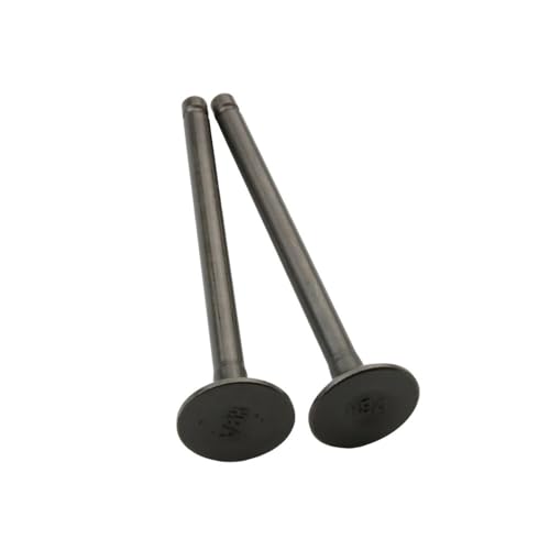 Válvulas de alta resistencia para Joymax GTS 125 y HD 200 4