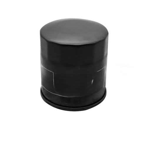 Filtre à carburant moto pour de longues sorties en CBR600 et VT600