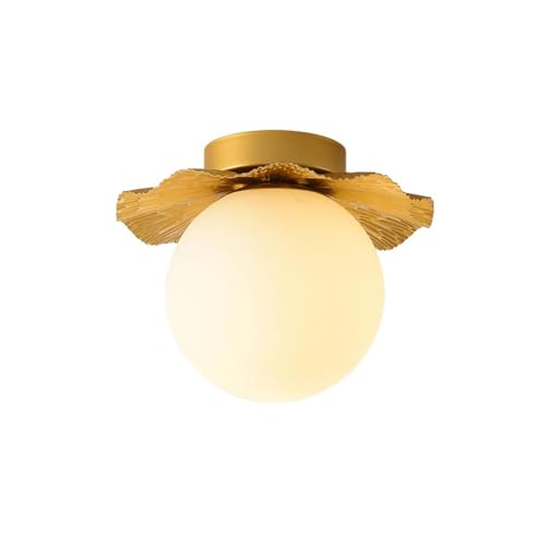 Lumière de plafond HJLJKG anti-éblouissement pour petits espaces et plafonds bas