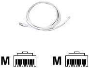 RJ45 Crossover Cable 20 m : Amazon.com.au: Computers
