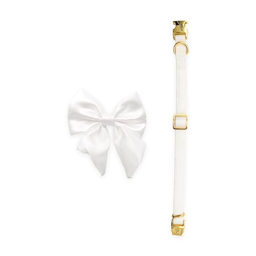 Croci Ceremony Bride Hundehalsband für weibliche Hunde, mit Abnehmbarer Satin-Schleife, weiß mit goldenen Details, für kleine, mittelgroße und große Hunde, M/32-50 cm