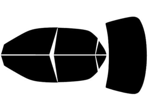 Rvinyl Window Tint Kit Compatible with Honda Accord 1998-2002 (Sedan) - Complete Precut Kit - 5%