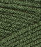Bulk Buy: Red Heart Super Saver (2-Pack) (Medium Thyme, 7 oz Each Skein)