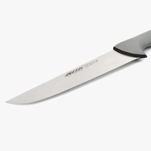 ARCOS Colour Prof Metzgermesser Edelstahl Nitrum 250 mm – Ansicht 5