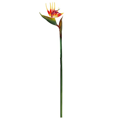 Fictory Strelitzia - Flor artificial de ave del paraíso, flor falsa, arreglo floral naranja de 32.3 pulgadas de alto, tallos flexibles para decoración del hogar, planta tropical para interiores y