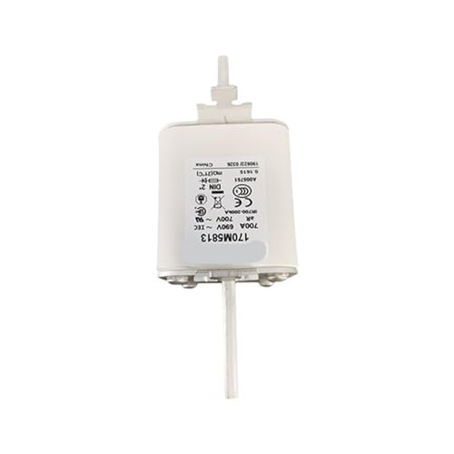 Evita fallos eléctricos con el fusible rápido 170M5813